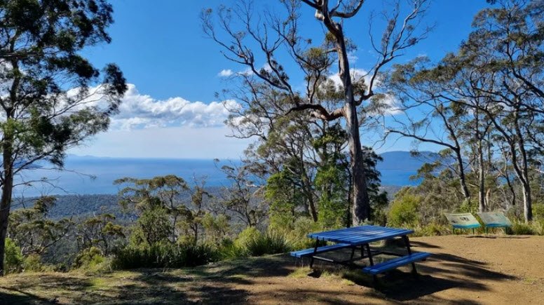 Tasmanian Bushland Garden, Buckland, Tasmania, Australia, Australia